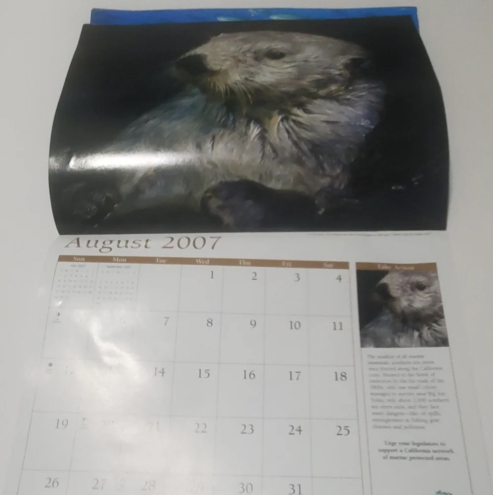 5/$15 Paper Crafting 2007 Calendar